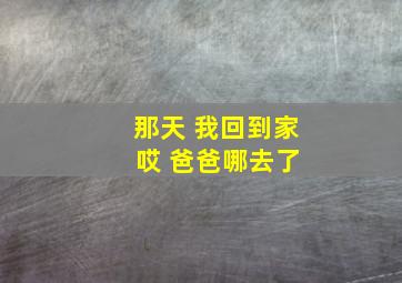 那天 我回到家 哎 爸爸哪去了